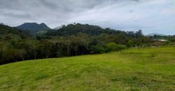 Área em Garopaba medindo 7.495,10m²