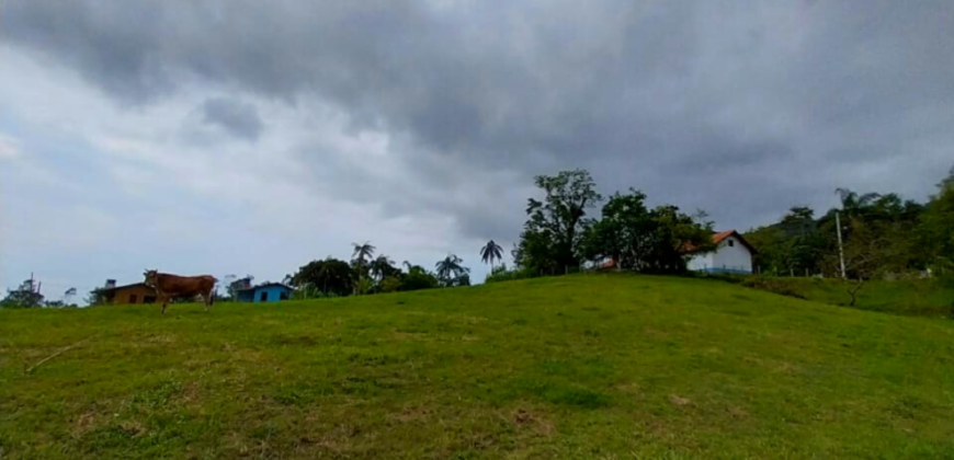 Área em Garopaba medindo 7.495,10m²