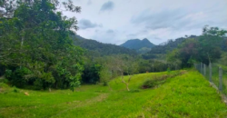 Área em Garopaba medindo 7.495,10m²