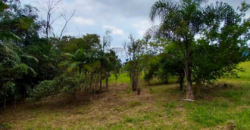 Área em Garopaba medindo 7.495,10m²