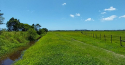Área á venda em Penha, Imbituba-SC de frente para BR 101