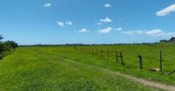 Área á venda em Penha, Imbituba-SC de frente para BR 101