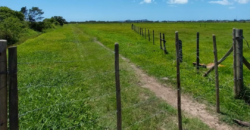 Área á venda em Penha, Imbituba-SC de frente para BR 101