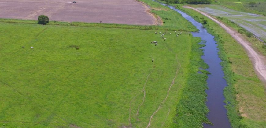 Área á venda em Penha, Imbituba-SC de frente para BR 101