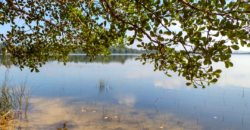 Casa em Imbituba, localizada no loteamento Janaína a 50 metros até a lagoa de Ibiraquera