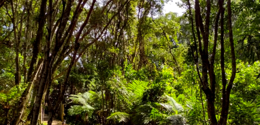 Casa em Imbituba, localizada no loteamento Janaína a 50 metros até a lagoa de Ibiraquera