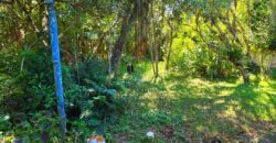 Casa a venda localizada no Bairro Alto Arroio, á beira da lagoa de Ibiraquera
