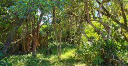 Casa a venda localizada no Bairro Alto Arroio, á beira da lagoa de Ibiraquera