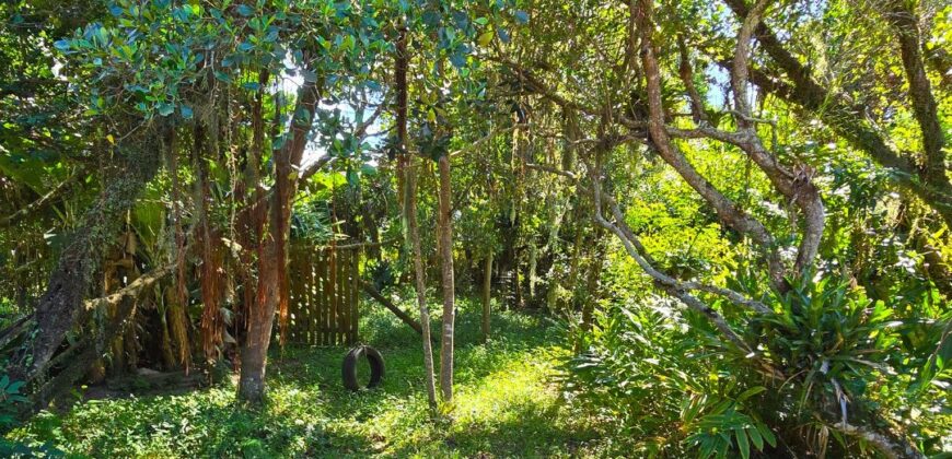 Casa a venda localizada no Bairro Alto Arroio, á beira da lagoa de Ibiraquera