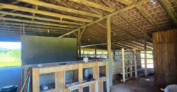 Vendo Sitio próximo as praias mais belas de Santa Catarina 