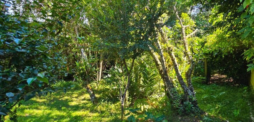 Casa a venda localizada no Bairro Alto Arroio, á beira da lagoa de Ibiraquera