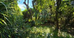 Casa a venda localizada no Bairro Alto Arroio, á beira da lagoa de Ibiraquera