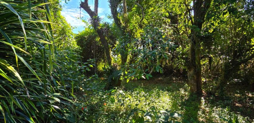 Casa a venda localizada no Bairro Alto Arroio, á beira da lagoa de Ibiraquera