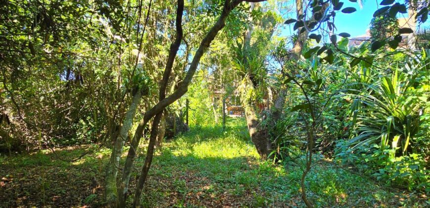 Casa a venda localizada no Bairro Alto Arroio, á beira da lagoa de Ibiraquera