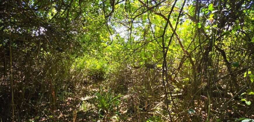 Casa a venda localizada no Bairro Alto Arroio, á beira da lagoa de Ibiraquera