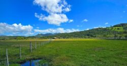 Vendo Sitio próximo as praias mais belas de Santa Catarina 