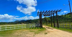 Vendo Sitio próximo as praias mais belas de Santa Catarina 