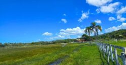 Vendo Sitio próximo as praias mais belas de Santa Catarina 