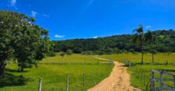 Vendo Sitio próximo as praias mais belas de Santa Catarina 