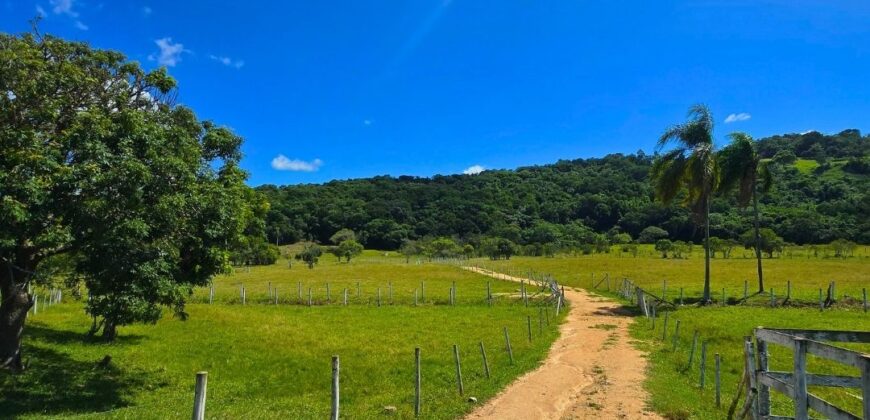 Vendo Sitio próximo as praias mais belas de Santa Catarina 