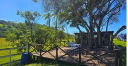 Vendo Sitio próximo as praias mais belas de Santa Catarina 
