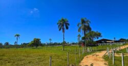 Vendo Sitio próximo as praias mais belas de Santa Catarina 