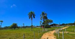 Vendo Sitio próximo as praias mais belas de Santa Catarina 