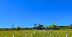 Vendo Sitio próximo as praias mais belas de Santa Catarina 