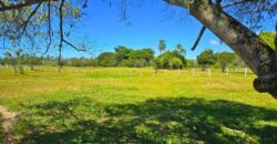 Vendo Sitio próximo as praias mais belas de Santa Catarina 