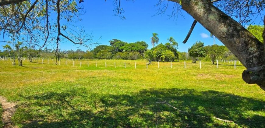 Vendo Sitio próximo as praias mais belas de Santa Catarina 
