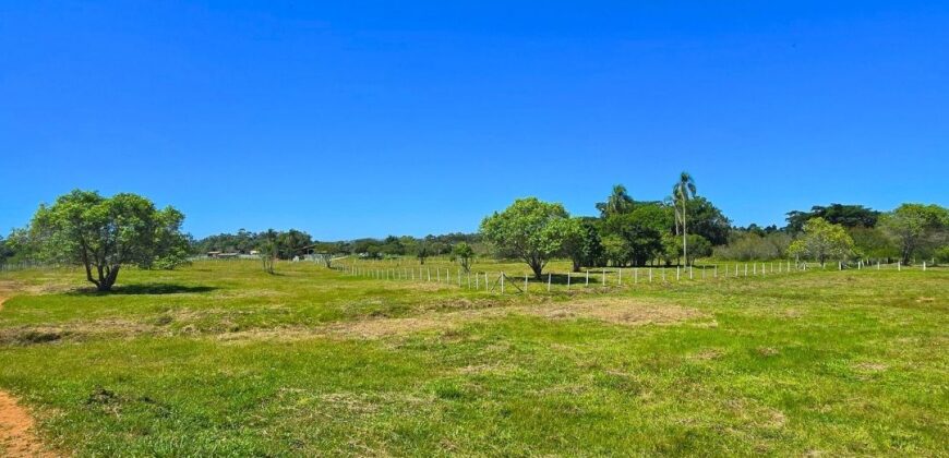 Vendo Sitio próximo as praias mais belas de Santa Catarina 