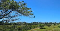 Vendo Sitio próximo as praias mais belas de Santa Catarina 
