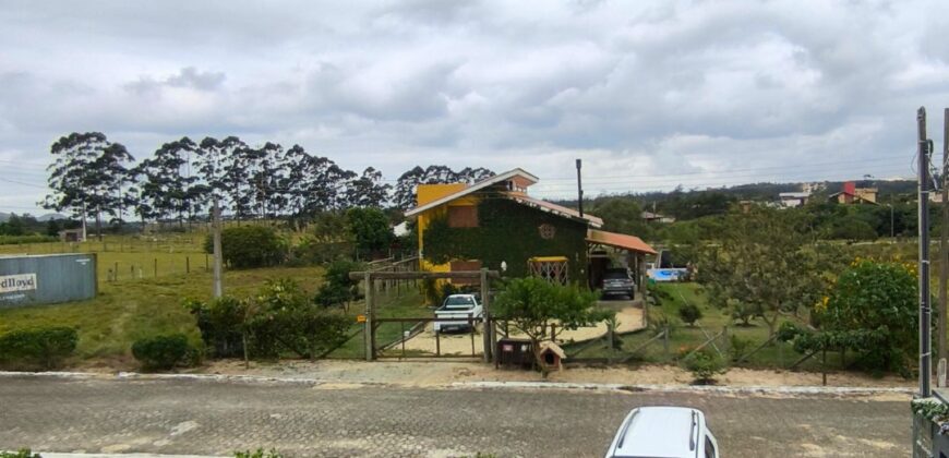 Geminados a venda no Arroio do Rosa, Imbituba-SC