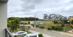 Geminados a venda no Arroio do Rosa, Imbituba-SC