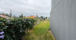 Geminados a venda no Arroio do Rosa, Imbituba-SC