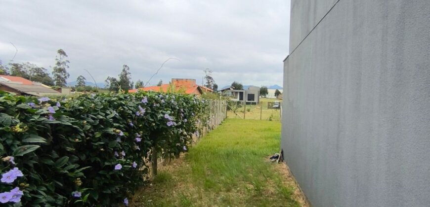 Geminados a venda no Arroio do Rosa, Imbituba-SC