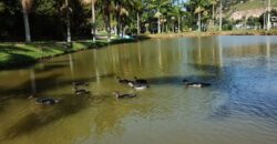 Sitio a venda com linda vista para a  Lagoa Imaruí, localizado em Imaruí-SC