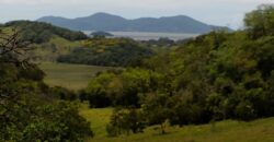 Sitio a venda com linda vista para a  Lagoa Imaruí, localizado em Imaruí-SC