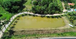 Sitio a venda com linda vista para a  Lagoa Imaruí, localizado em Imaruí-SC