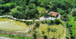 Sitio a venda com linda vista para a  Lagoa Imaruí, localizado em Imaruí-SC
