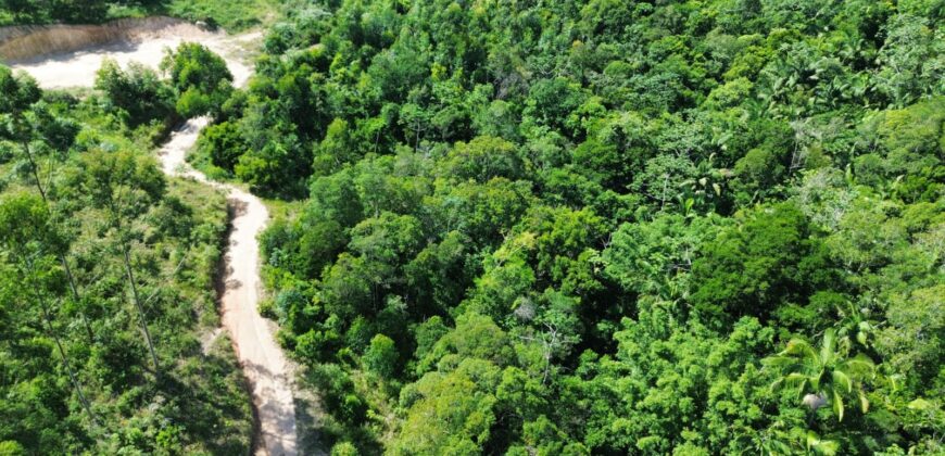 Sitio a venda com linda vista para a  Lagoa Imaruí, localizado em Imaruí-SC