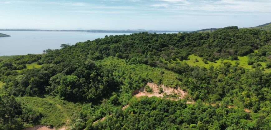 Sitio a venda com linda vista para a  Lagoa Imaruí, localizado em Imaruí-SC