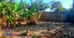 Chácara escriturada á venda em Imbituba, no bairro Campo da Aviação á 600  metros da Praia