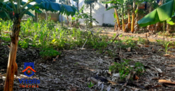 Chácara escriturada á venda em Imbituba, no bairro Campo da Aviação á 600  metros da Praia