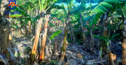 Chácara escriturada á venda em Imbituba, no bairro Campo da Aviação á 600  metros da Praia