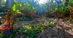 Chácara escriturada á venda em Imbituba, no bairro Campo da Aviação á 600  metros da Praia