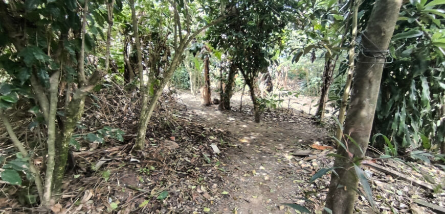 Terreno à Venda – Ibiraquera, Imbituba