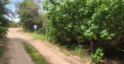 Terreno à Venda – Ibiraquera, Imbituba