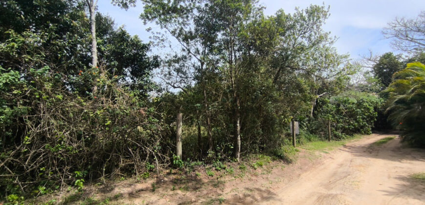 Terreno à Venda – Ibiraquera, Imbituba