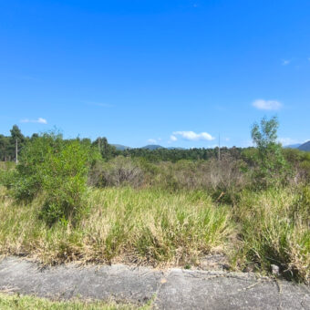 Terreno à Venda no Loteamento Bosque Imbituba